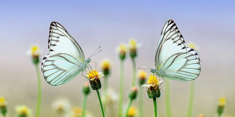 TOUCH FOR LOVE - Workshop 15.11.25 FRAU BLUM