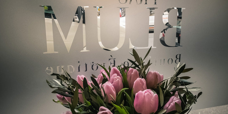 Junggesellinnen + Mädels