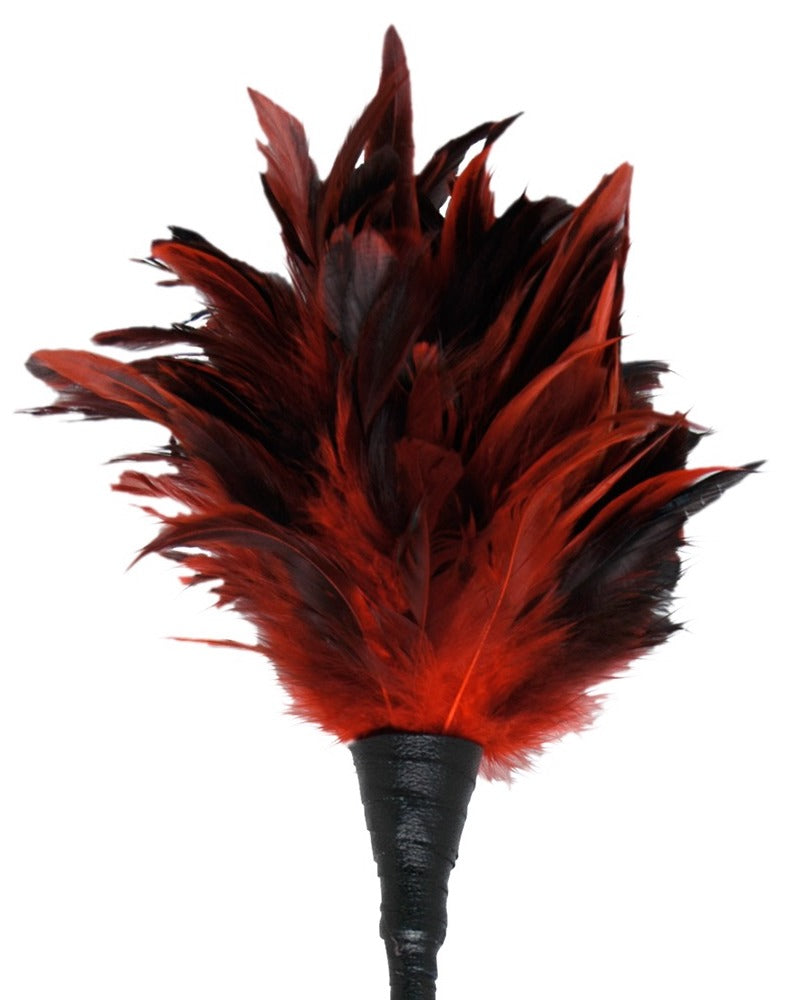 Federtickler-Staubwedel Fetish