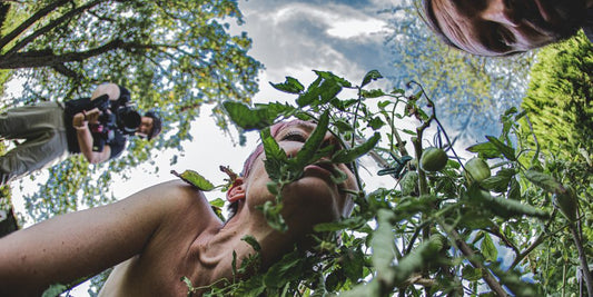 DEDITA – SUBMISSIVE – Dokumentarfilm 19.6.26