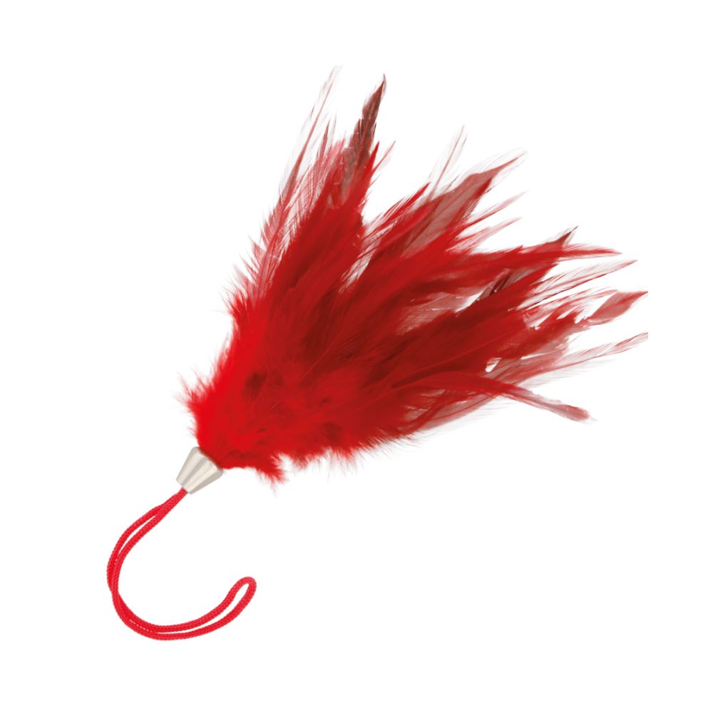 Federtickler Rot