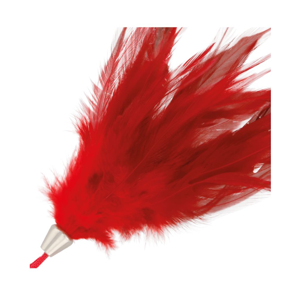 Federtickler Rot