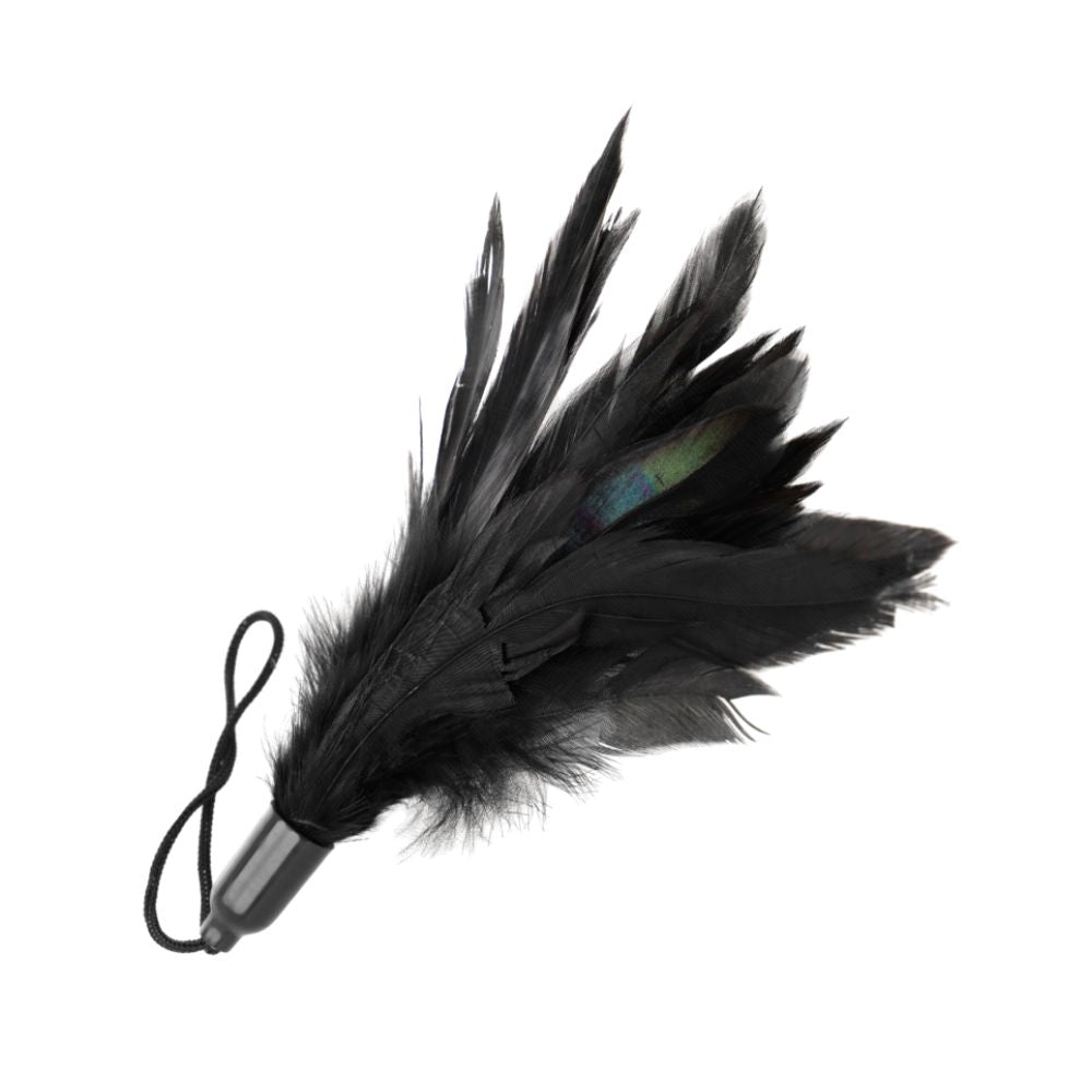 Federtickler Schwarz