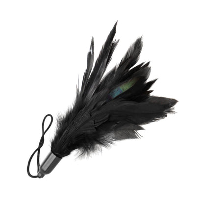 Federtickler Schwarz