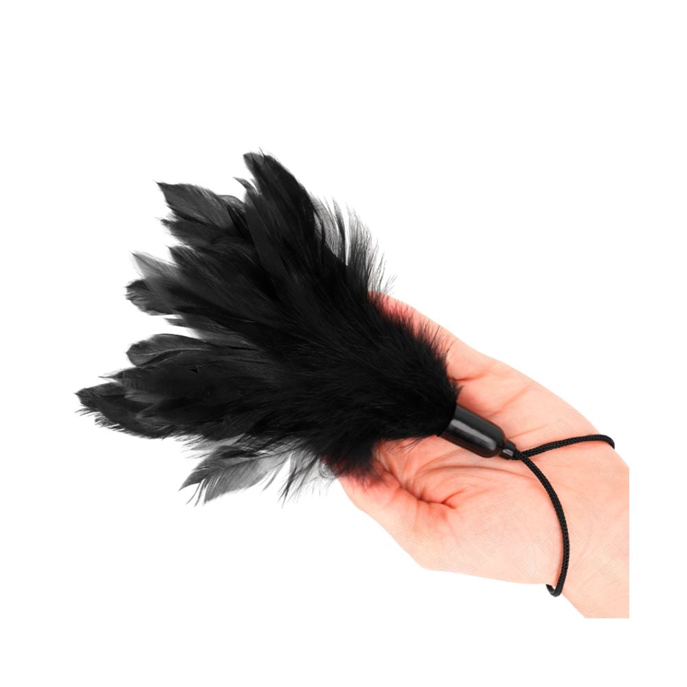 Federtickler Schwarz