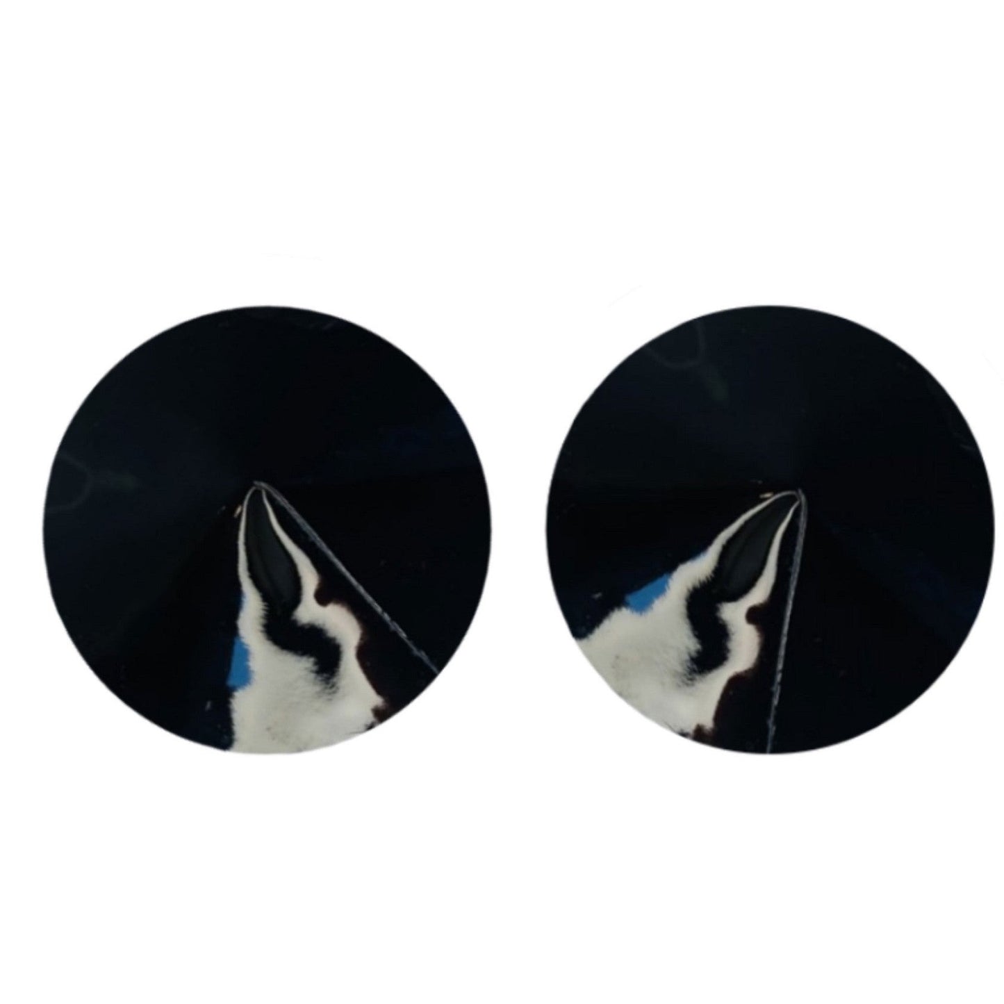 Shiny Black Pasties Vinyl