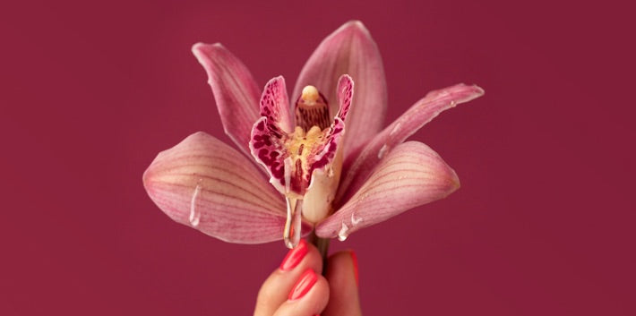 online! WEIBLICHE INTIM-MASSAGE LERNEN - 23.09.25 FRAU BLUM