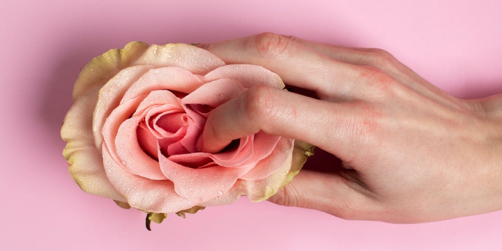 VIVA LA VULVA - Workshop am 1.3.26