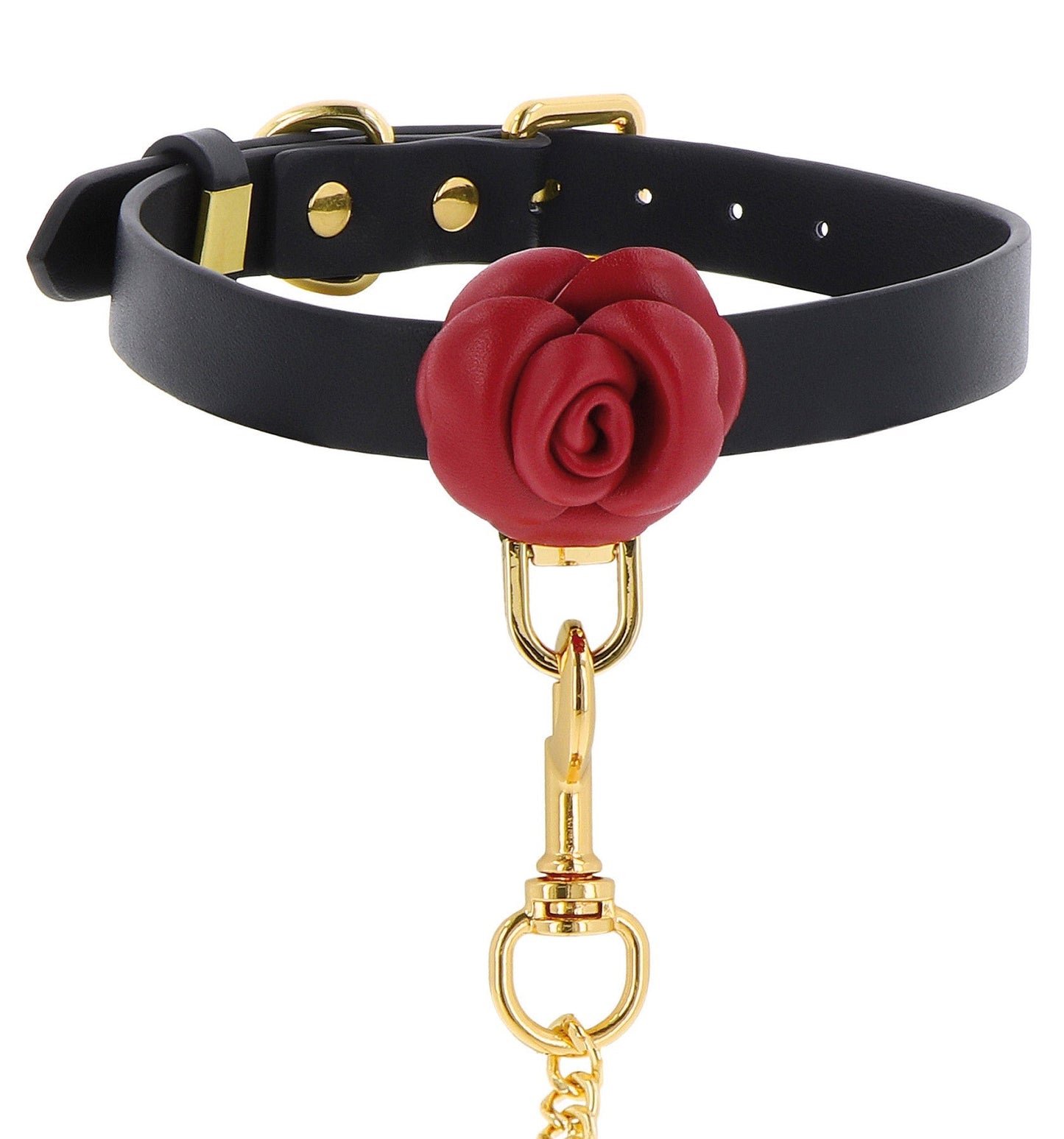 Halsband & Führungskette - Wild Roses