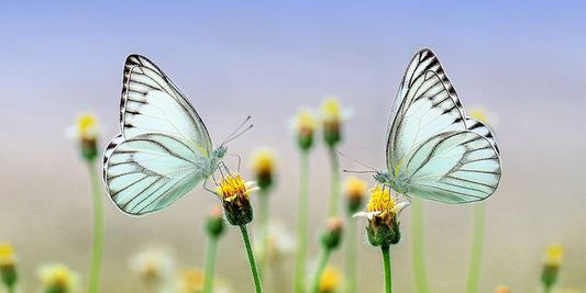 TOUCH FOR LOVE - Workshop 15.11.25 FRAU BLUM